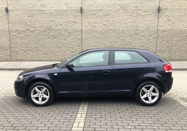 Audi A3 cena 12999 przebieg: 282000, rok produkcji 2003 z Przeworsk małe 92